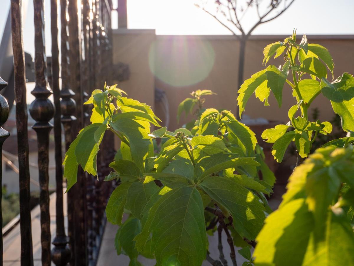 Art Apartment Sole Пула Екстериор снимка