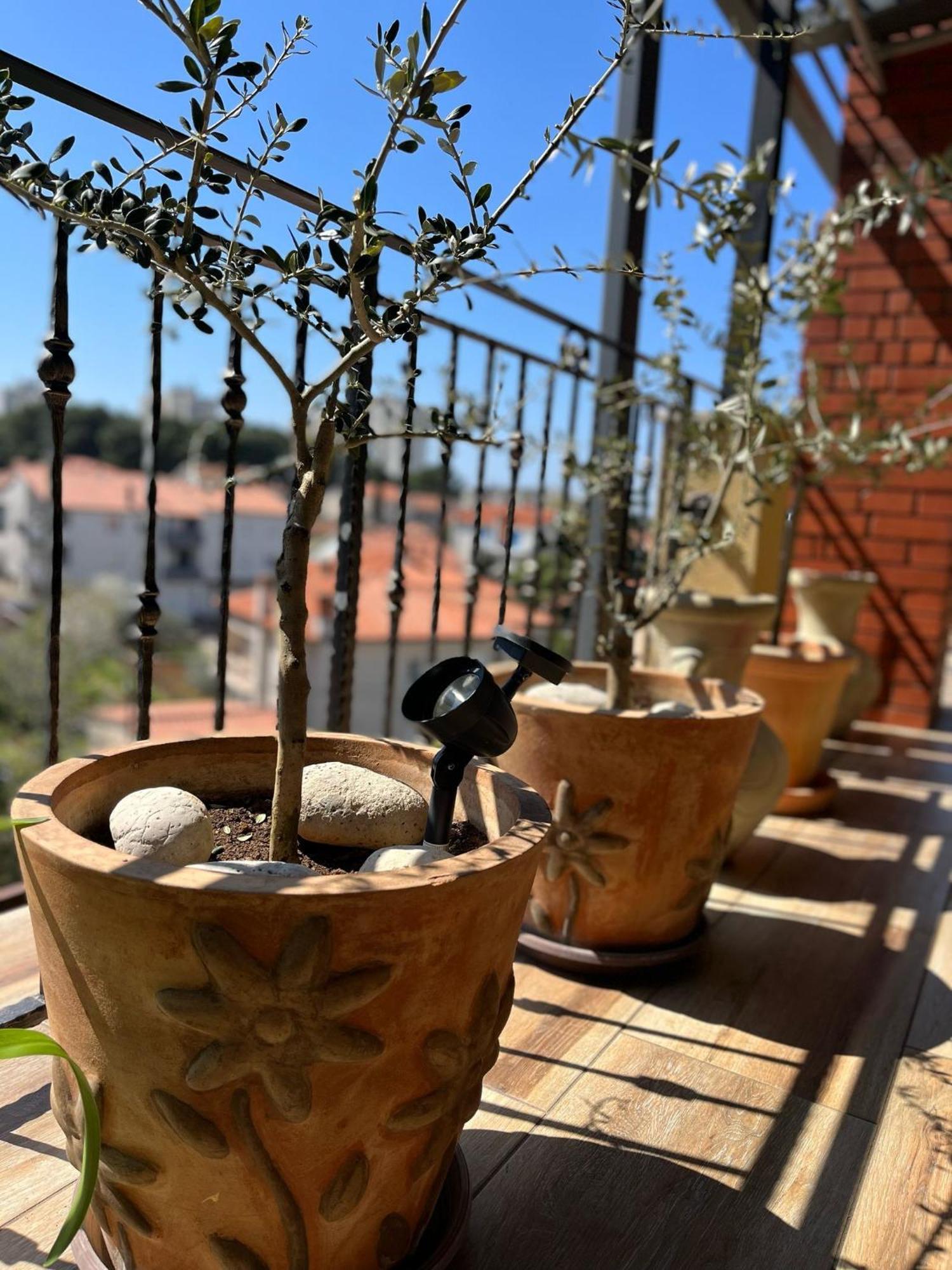 Art Apartment Sole Пула Екстериор снимка